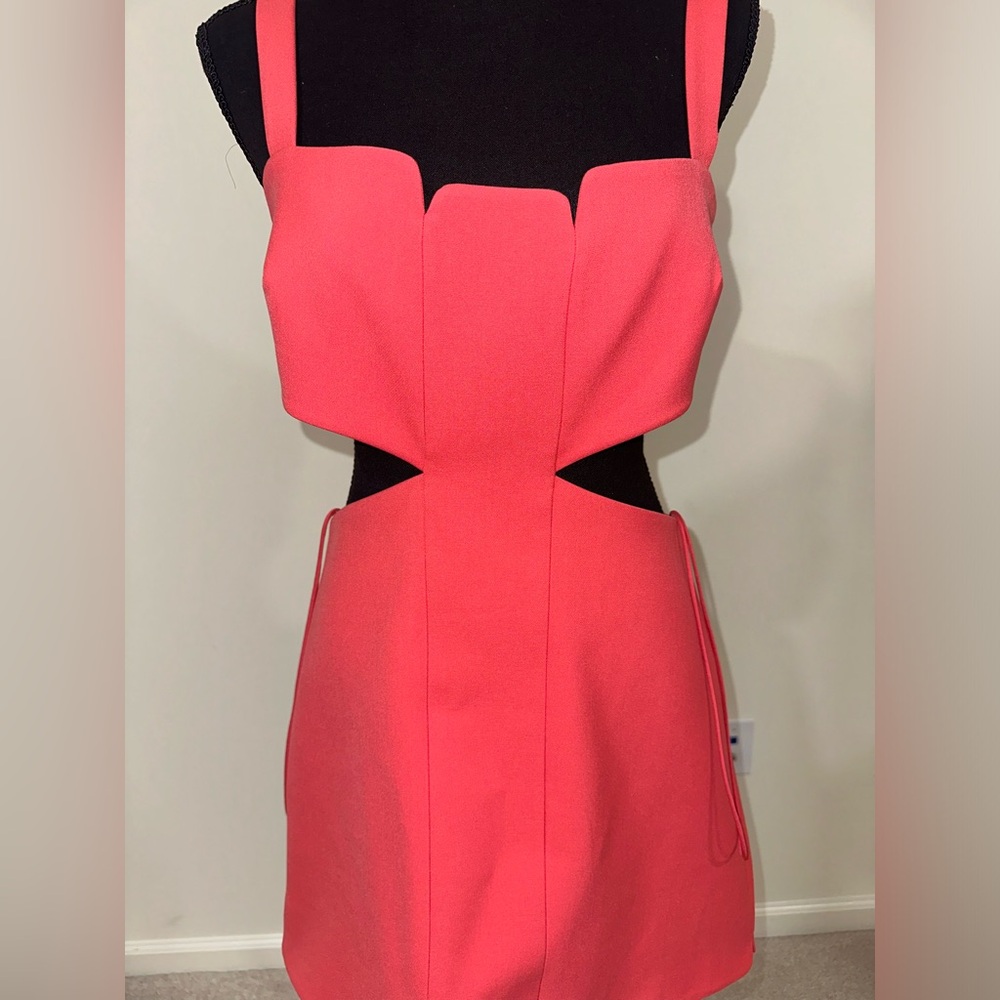 cut out Alexis  dress